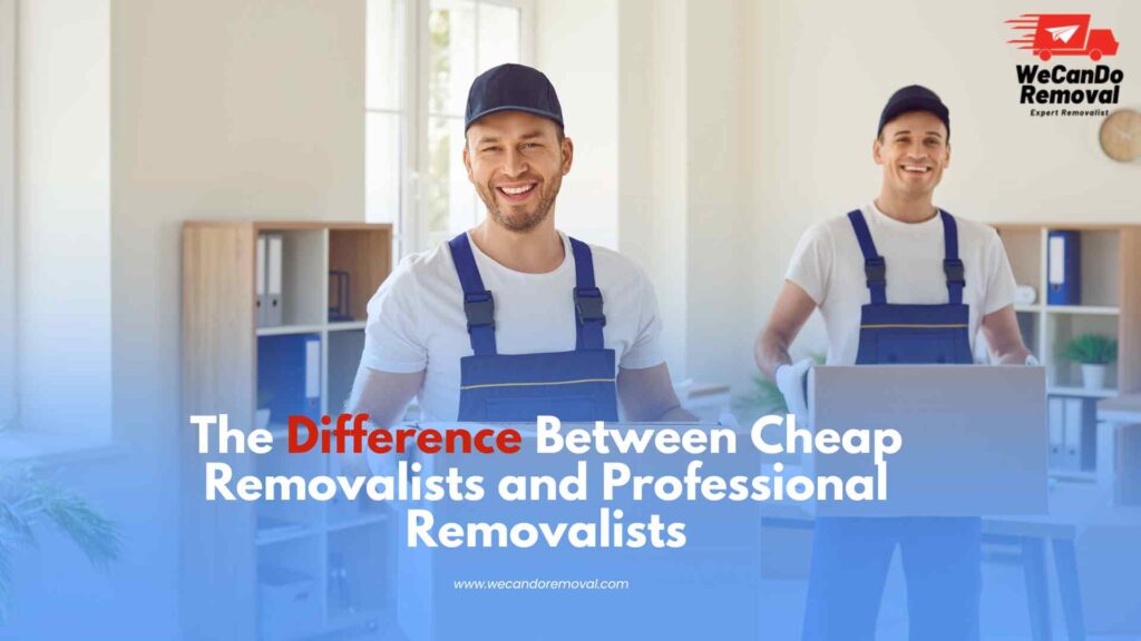 Professional removalists handling fragile items with care during relocation